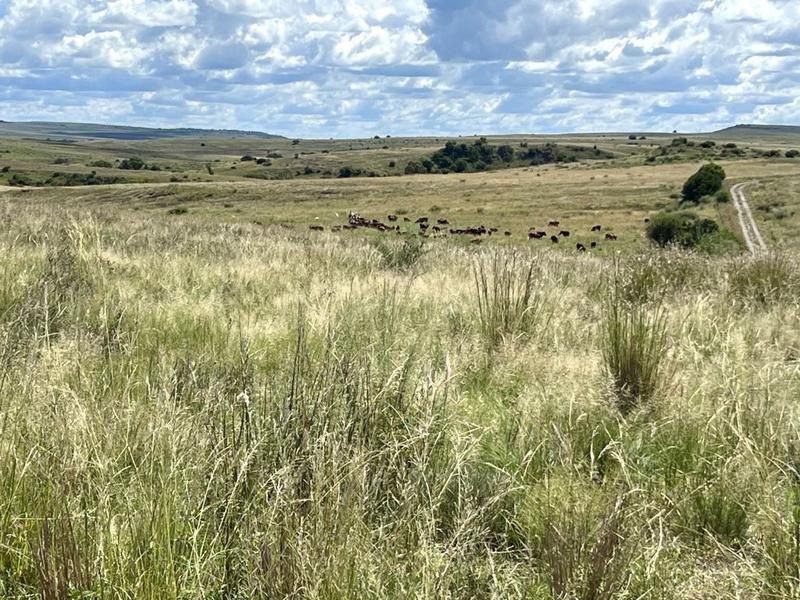 0 Bedroom Property for Sale in Lindley Free State
